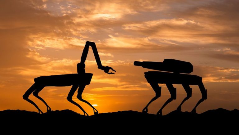 Journée internationale des drones 2018 – l’événement Drone de l’année !